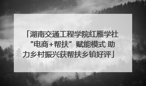 湖南交通工程学院红雁学社“电商+帮扶”赋能模式 助力乡村振兴获帮扶乡镇好评